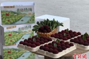 解梦官网高速赋能产业升级：一条“杨梅路”的致富密码